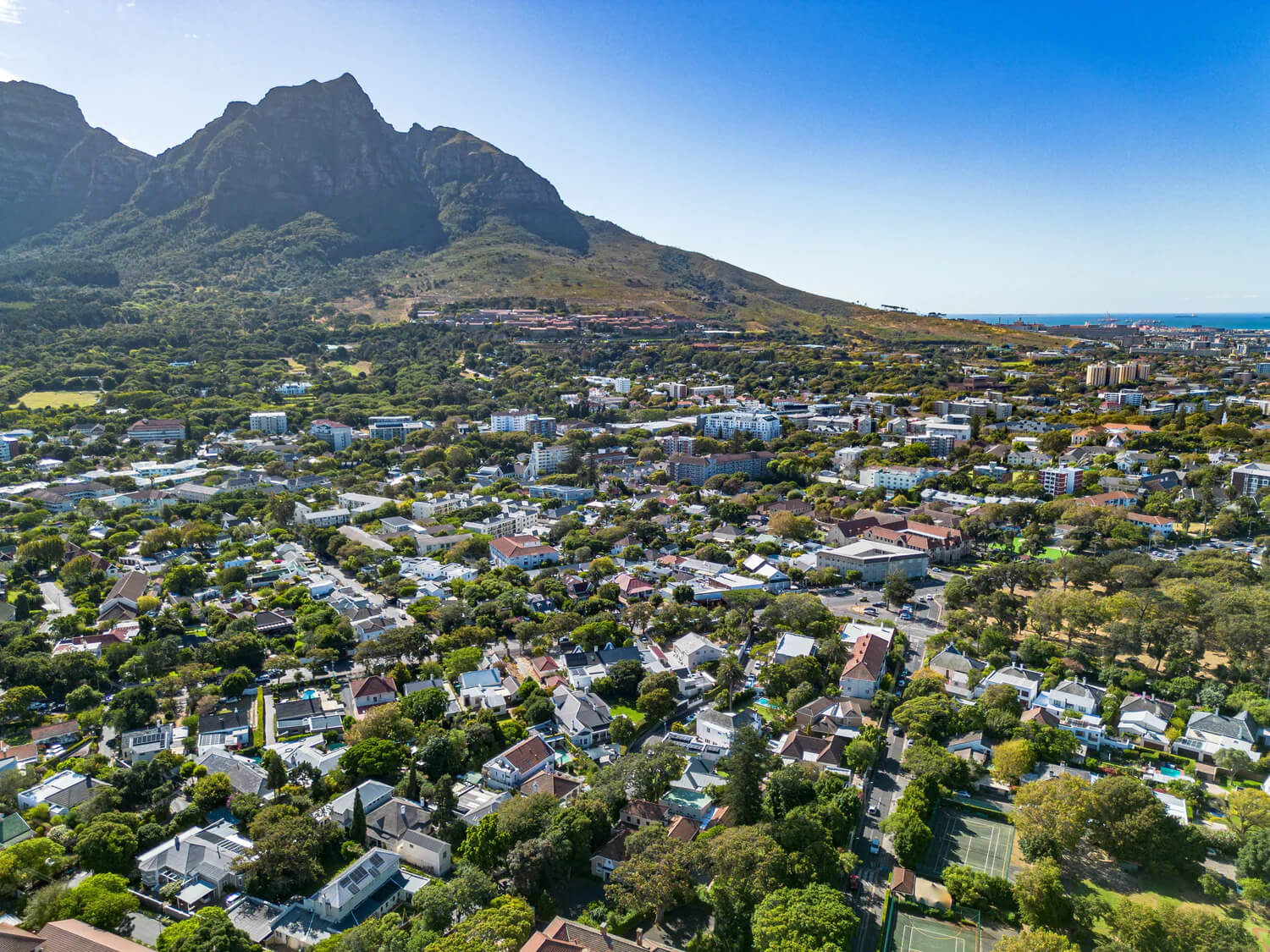 Rondebosch